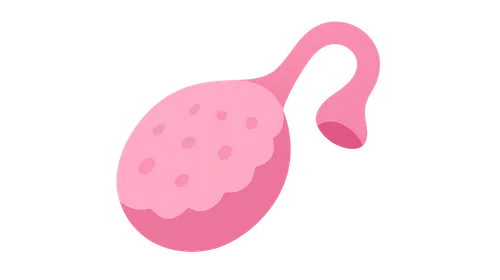 Physiology of Menopause