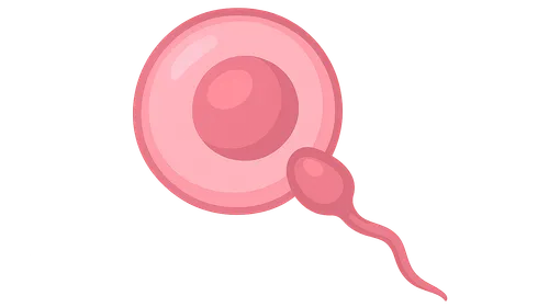 Gametogenesis and Fertilization