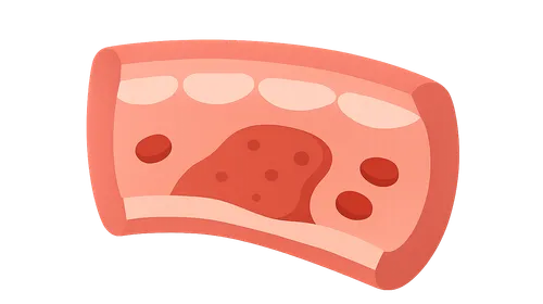 Endothelial function and dysfunction