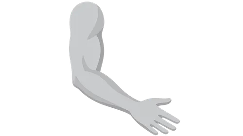 Surface Anatomy and Landmarks