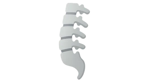 Clinical Aspects of Back Disorders