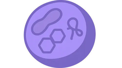 Treatment options (ERT, substrate reduction, chaperones)