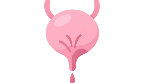 Overactive Bladder and Urge Incontinence