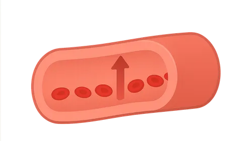 Principles of blood flow (Poiseuille's law)
