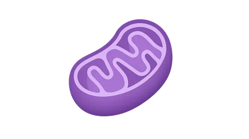 Inborn Errors of Metabolism