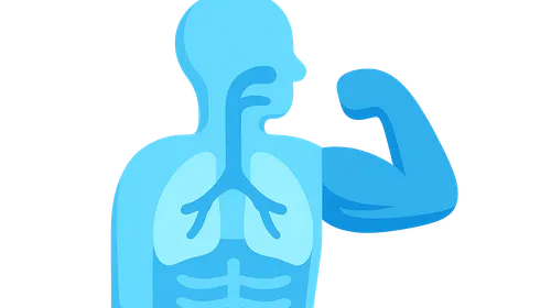 Anatomical Aspects of Exercise Physiology