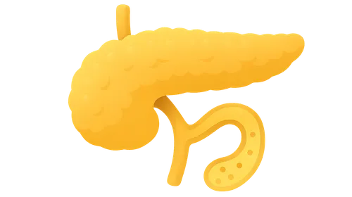 Pancreatic exocrine function