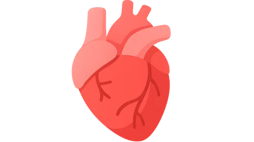 Cardiovascular Evaluation