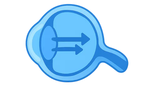Accommodation and Presbyopia