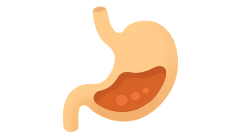 Digestion and Absorption