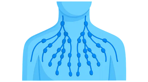 Lymph node groups and clinical significance