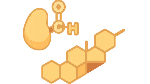 Bile Acids and Bile Salts