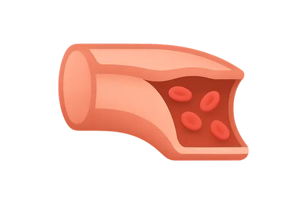 Peripheral vascular disease therapies