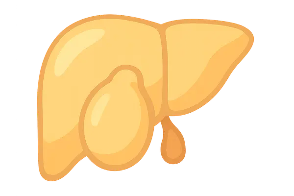 Fed state vs. fasting state metabolism