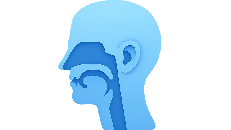 Otolaryngology Basics