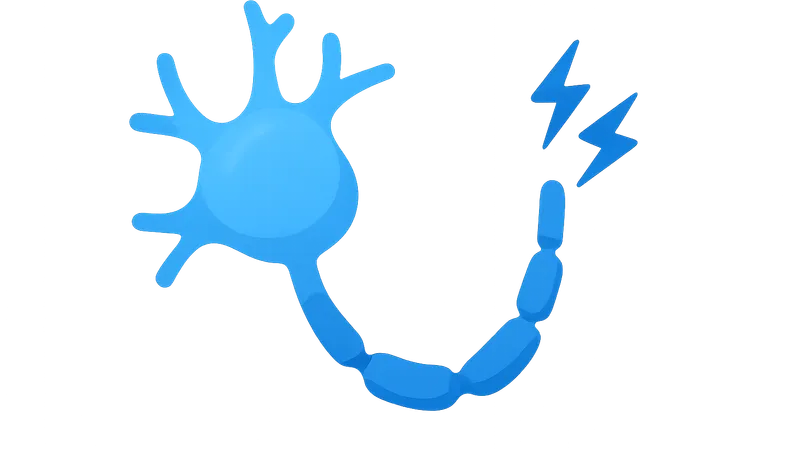 Bioelectric Phenomena