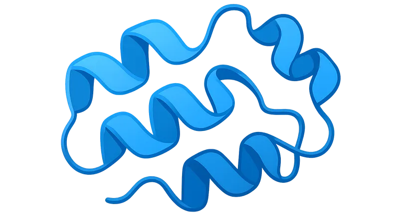 Protein Structure and Function