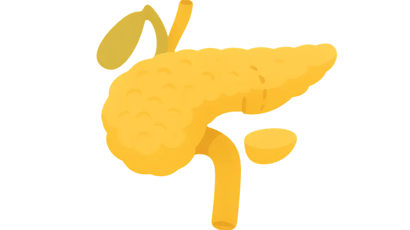 Pancreatic surgery procedures