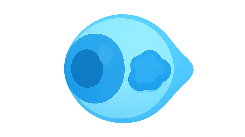 Corneal Degenerations