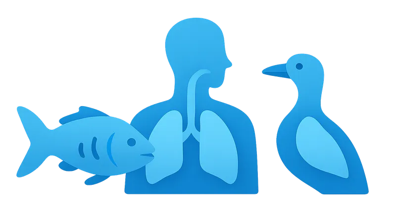 Comparative Respiratory System