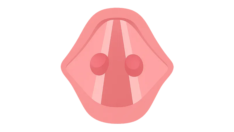 Nodules, Polyps, and Cysts