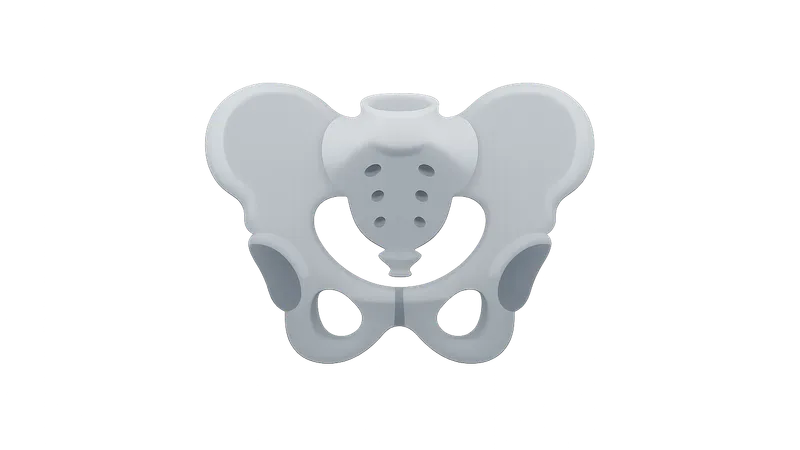 Skeletal radiologic landmarks