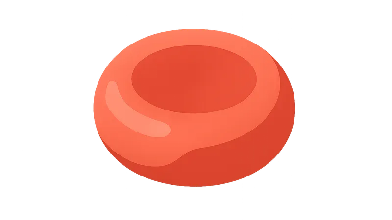 Anemia Evaluation and Management