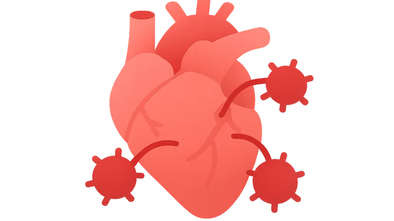 Transplant rejection mechanisms