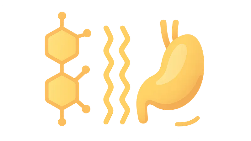 Eicosanoid synthesis and function