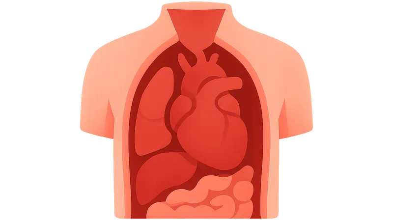 Internal Examination