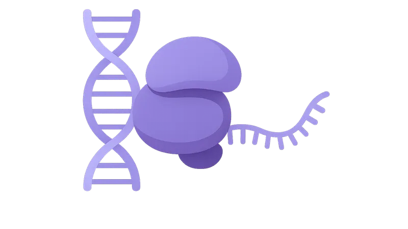 Gene Expression and Regulation