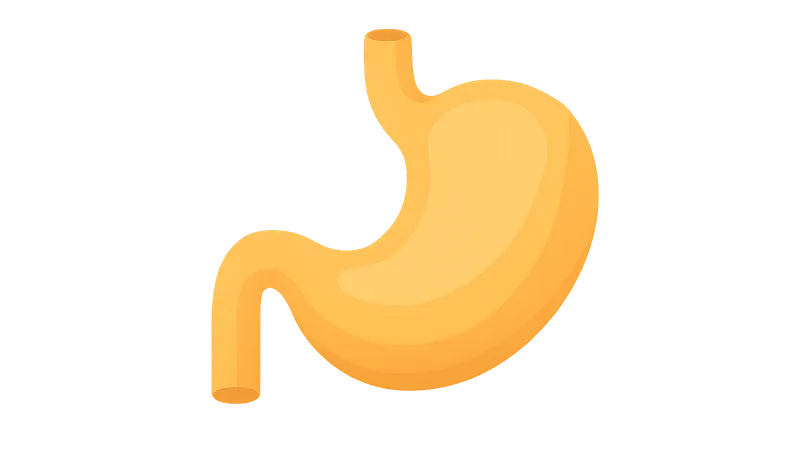 Nutrition and Metabolism