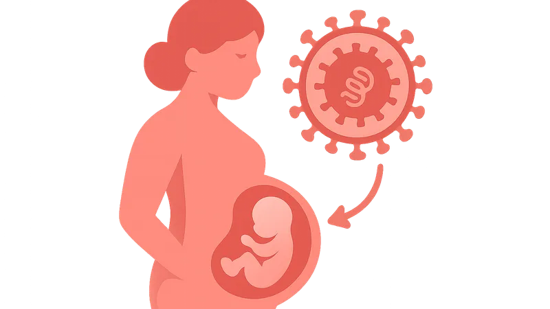 HIV in pregnancy and vertical transmission