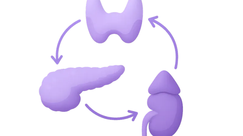 Endocrine feedback systems