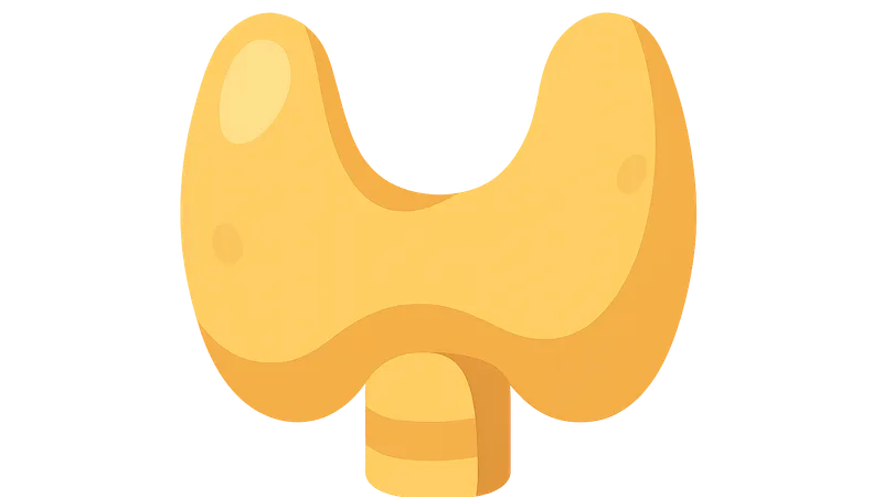 Endocrinology (diabetes, thyroid disorders)