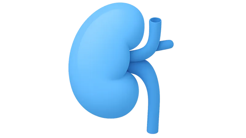 Renal Transplantation Pathology