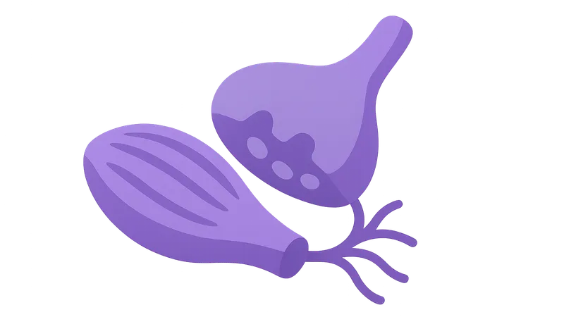 Neuromuscular Blocking Agents