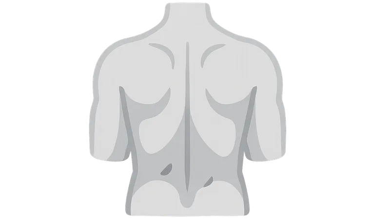 Back surface landmarks