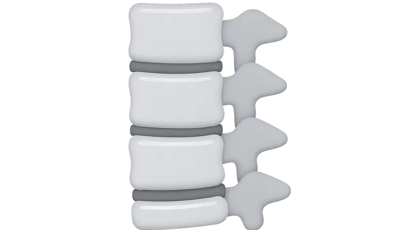 Radiographic Anatomy of Spine