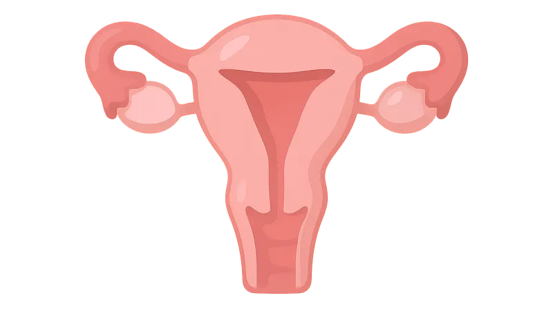 Reproductive physiology (menstrual cycle, pregnancy)