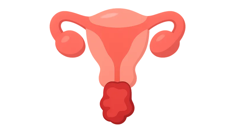 Postpartum hemorrhage protocols