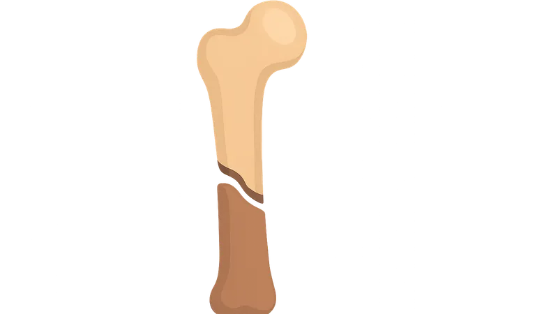 Fracture classification and management principles