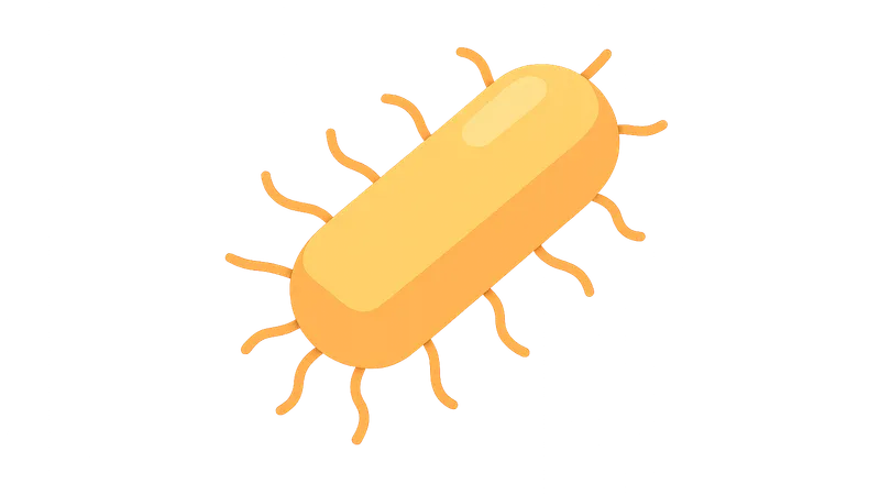 Escherichia coli