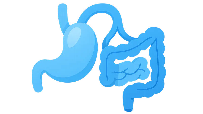 Small bowel transplantation