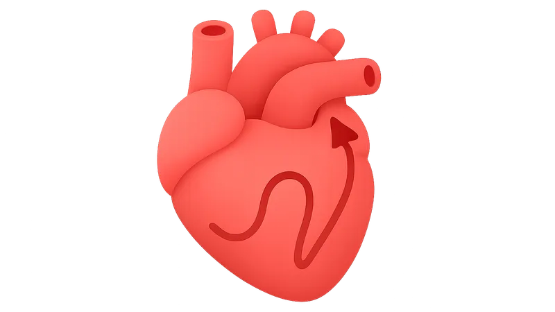Supraventricular tachycardias