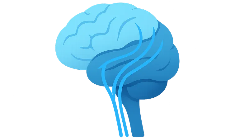 Neural Pathways and Tracts