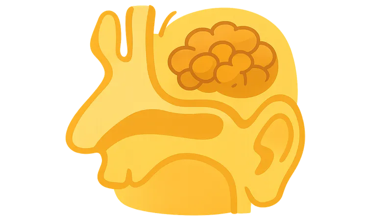 Biofilms in otitis media and sinusitis