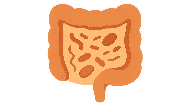 Microbiome in antibiotic-associated diarrhea