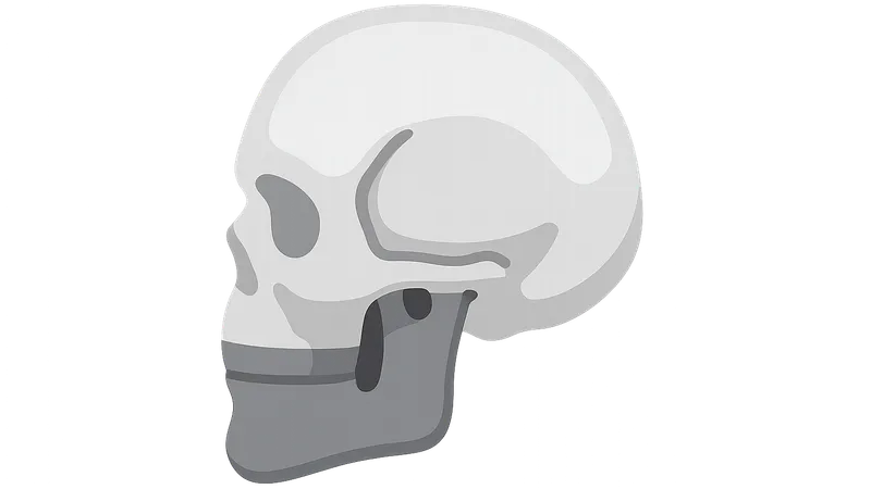Lateral Skull Base Approaches
