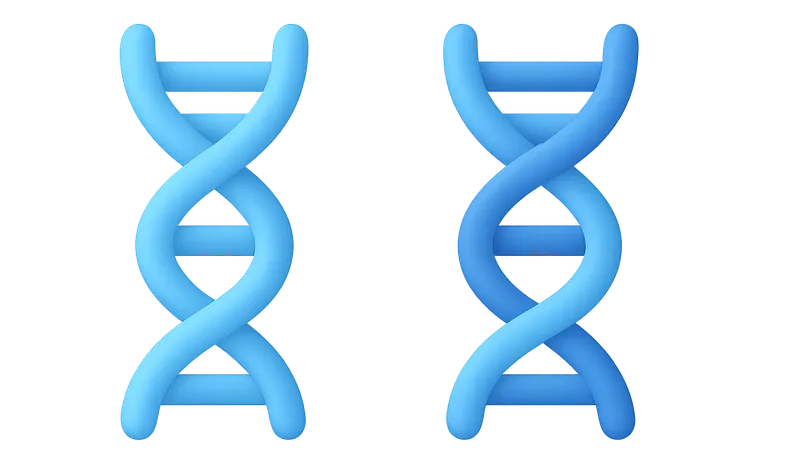 Genetic polymorphisms